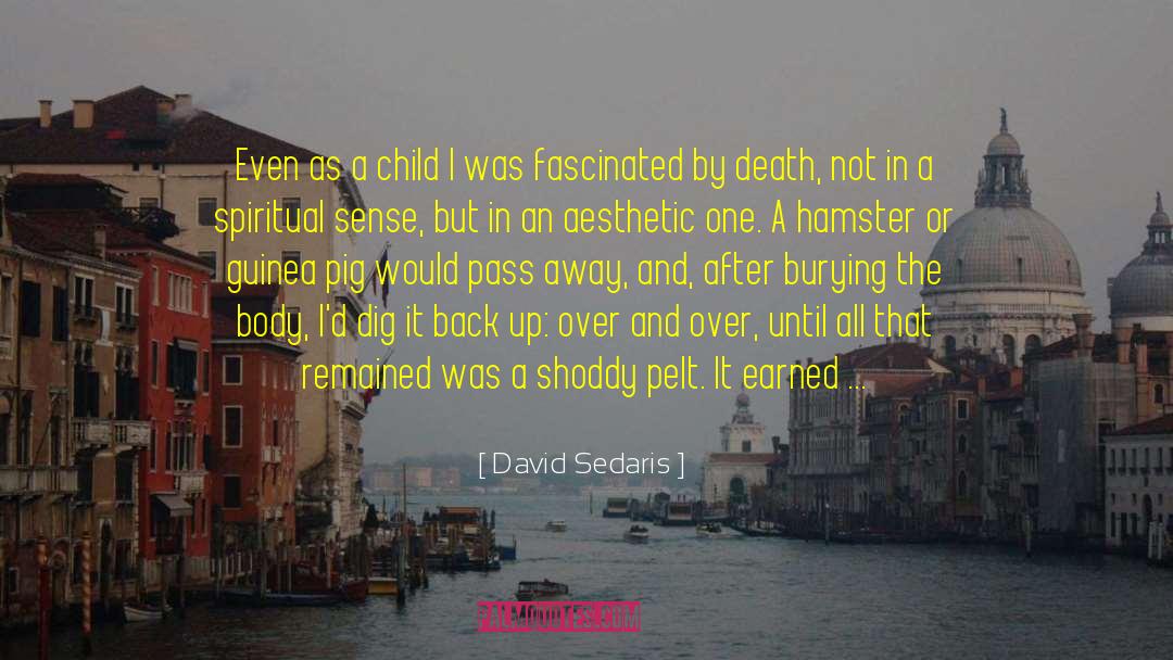 Hamster quotes by David Sedaris