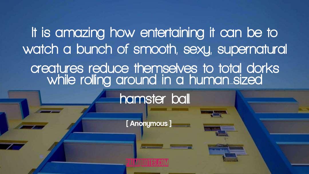 Hamster quotes by Anonymous
