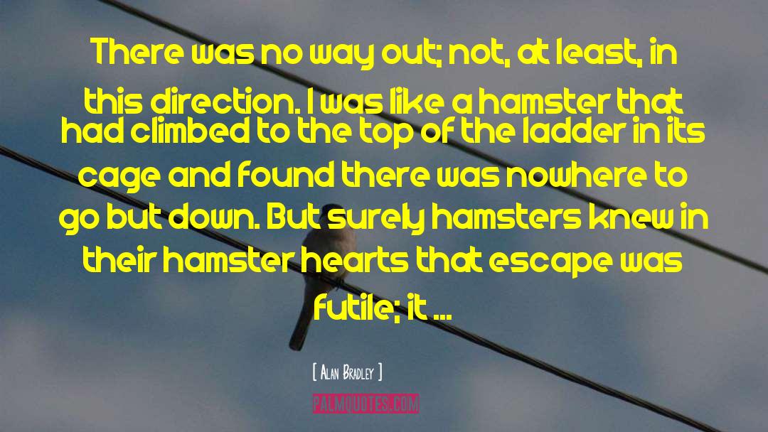Hamster quotes by Alan Bradley