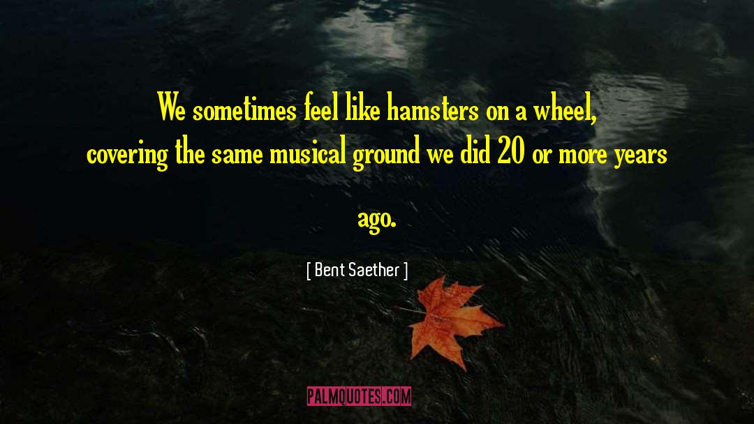 Hamsters quotes by Bent Saether