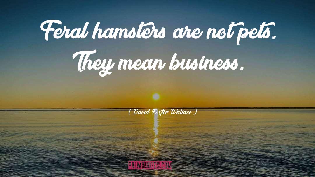 Hamsters quotes by David Foster Wallace