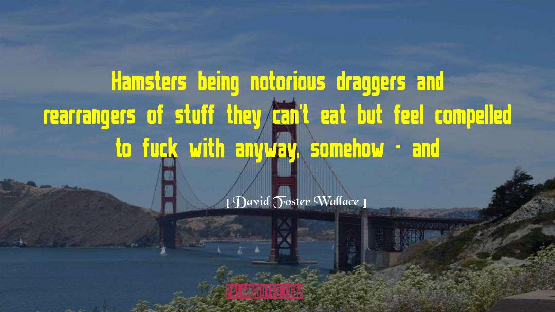 Hamsters quotes by David Foster Wallace