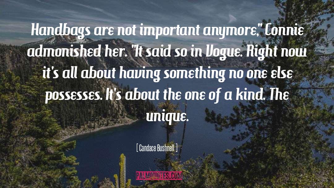 Handbags quotes by Candace Bushnell