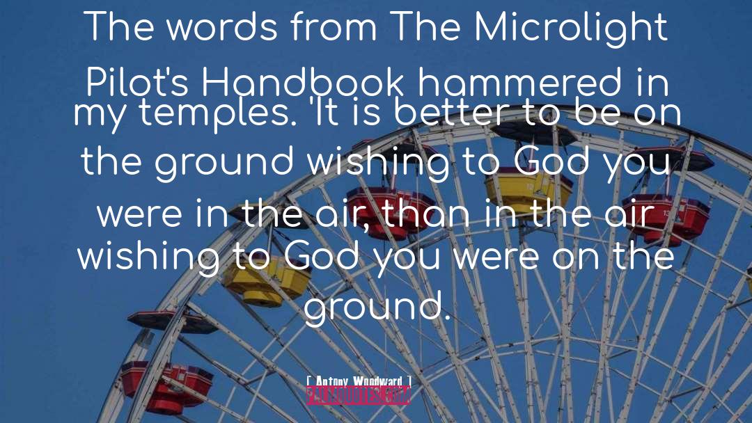 Handbook quotes by Antony Woodward