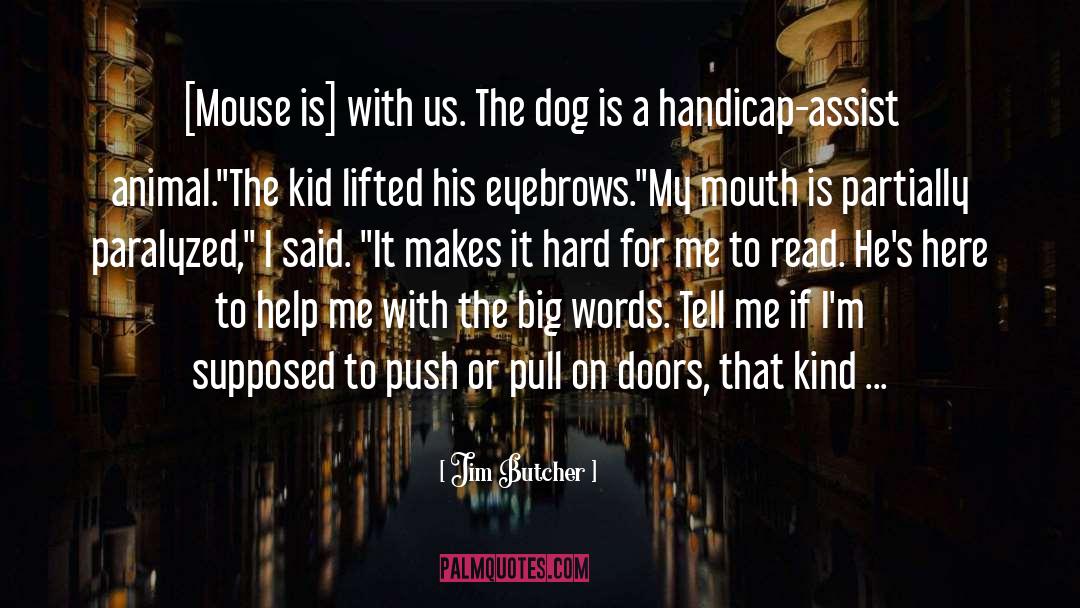 Handicap quotes by Jim Butcher