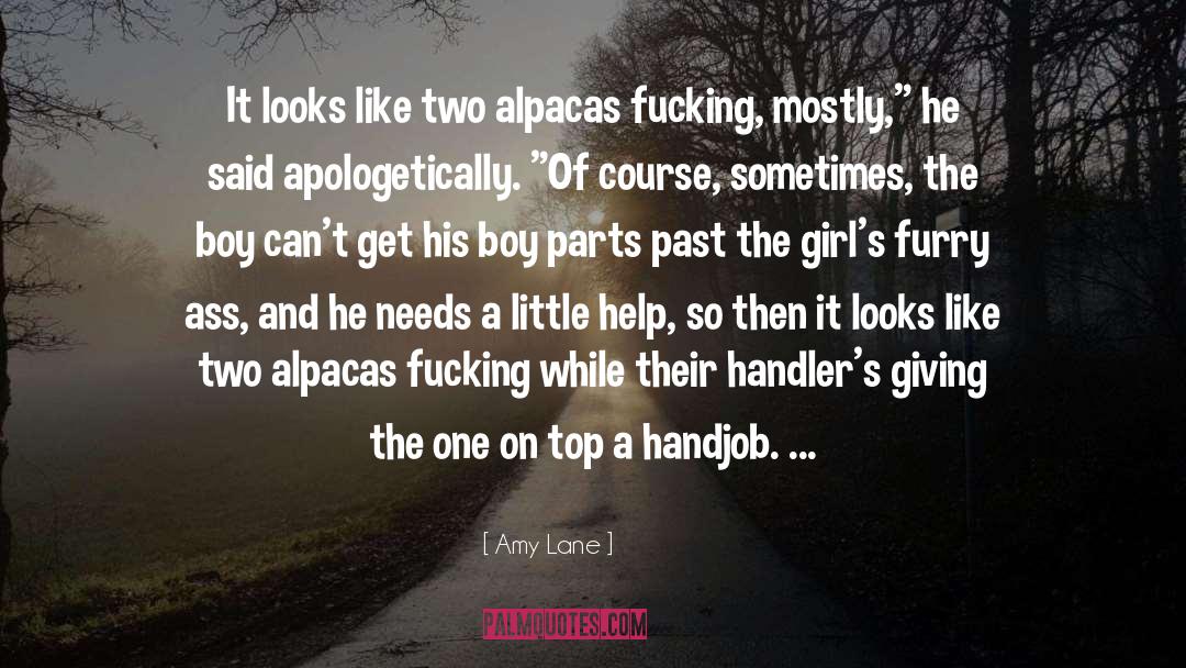 Handjob quotes by Amy Lane