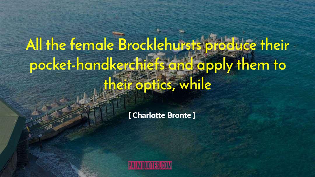 Handkerchiefs quotes by Charlotte Bronte