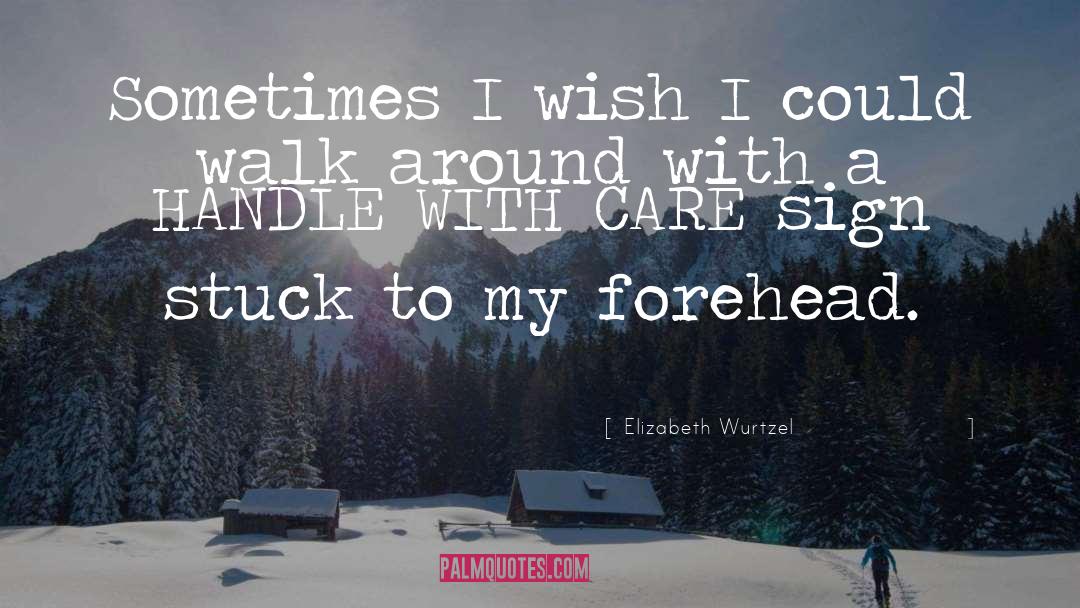 Handle With Care quotes by Elizabeth Wurtzel