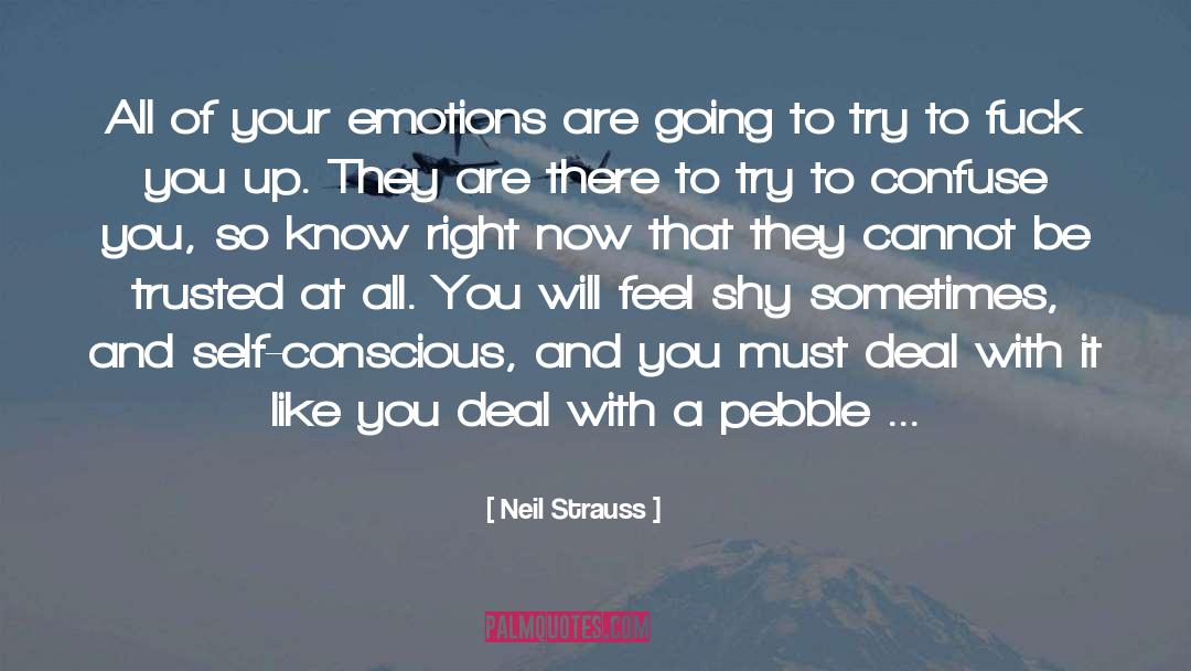 Handling Emotions quotes by Neil Strauss