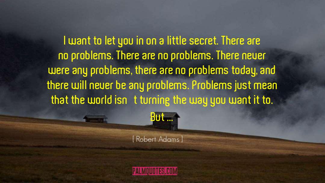 Handling Problems quotes by Robert Adams