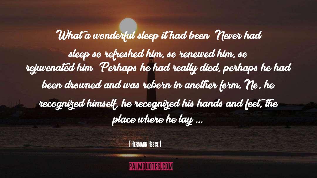 Hands And Feet quotes by Hermann Hesse