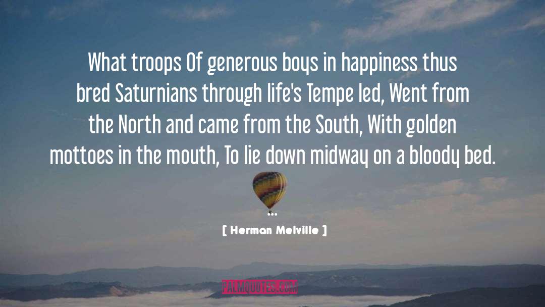 Handsome Boys quotes by Herman Melville