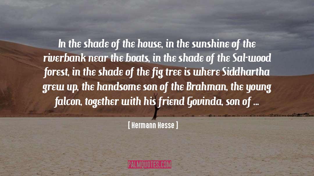 Handsome quotes by Hermann Hesse