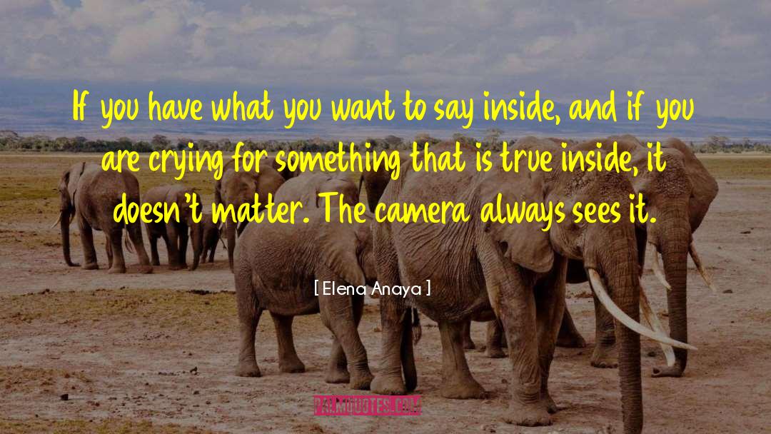 Handycam Camera quotes by Elena Anaya