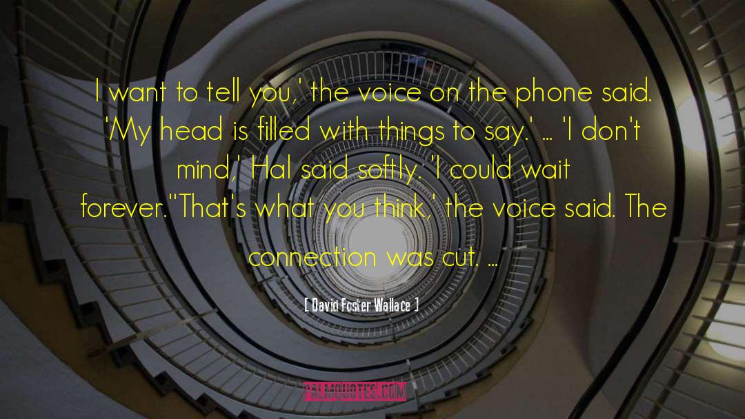 Hanegraaff Phone quotes by David Foster Wallace