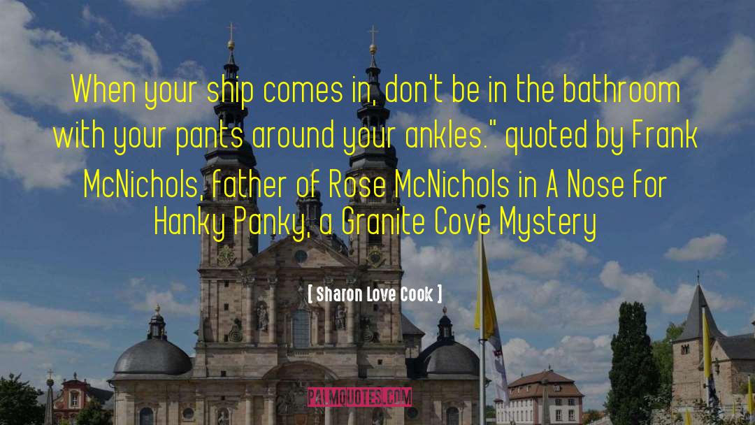 Hanky Panky quotes by Sharon Love Cook