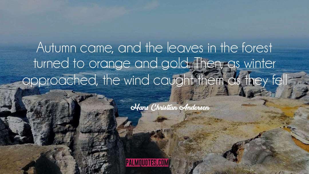Hans Joachim quotes by Hans Christian Andersen