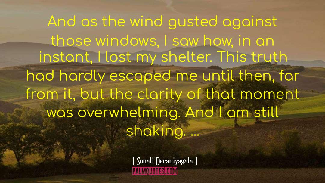 Hansons Windows quotes by Sonali Deraniyagala