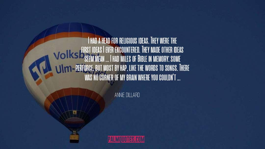 Hap quotes by Annie Dillard