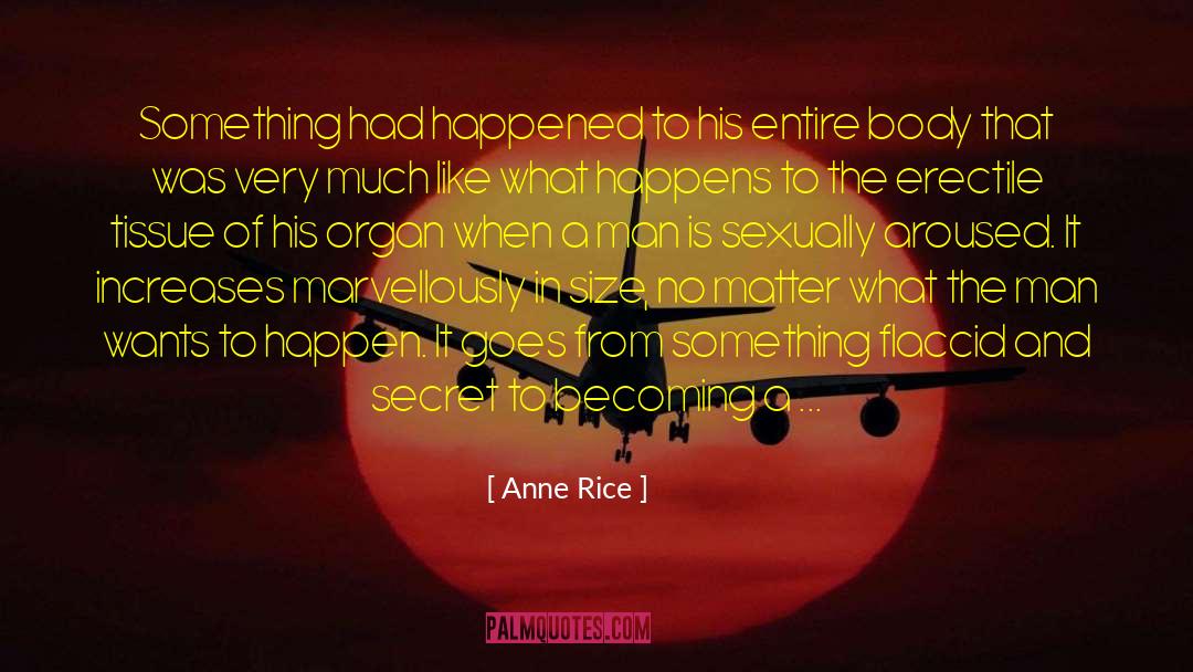 Happens And Happened quotes by Anne Rice