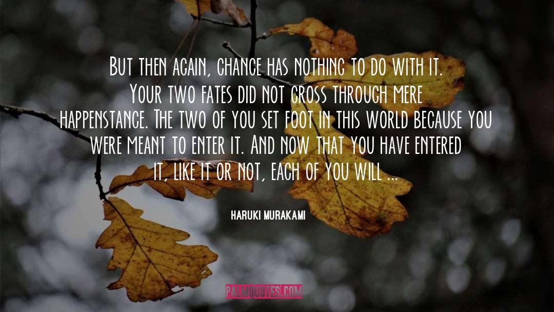 Happenstance quotes by Haruki Murakami