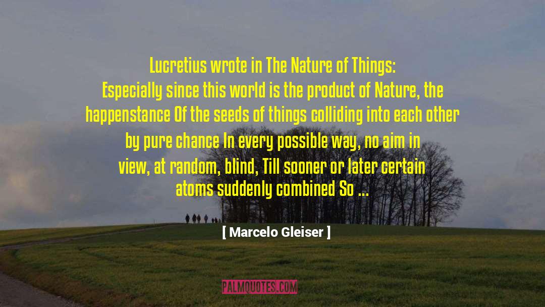 Happenstance quotes by Marcelo Gleiser