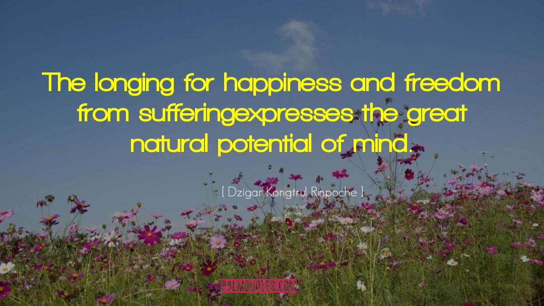 Happiness And Pain quotes by Dzigar Kongtrul Rinpoche
