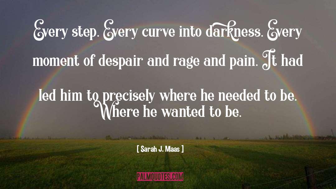 Happiness And Pain quotes by Sarah J. Maas