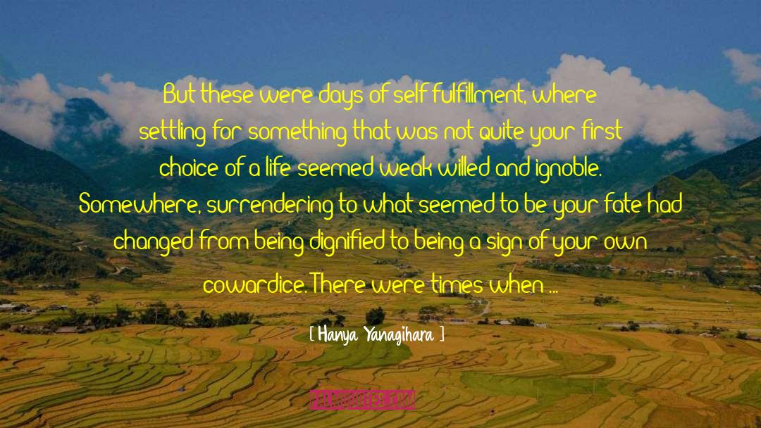 Happiness As A Process quotes by Hanya Yanagihara