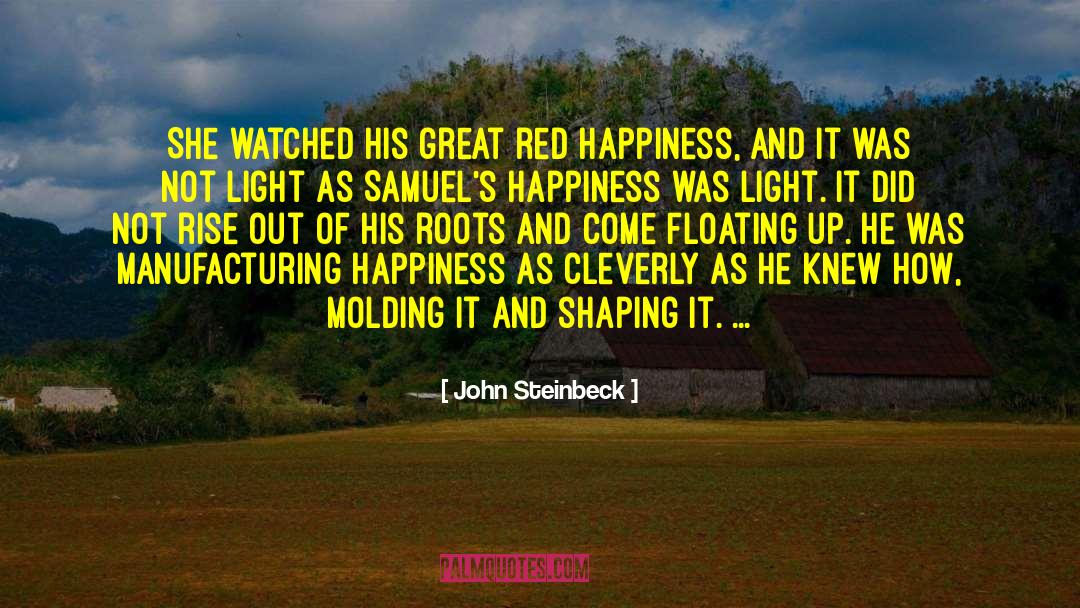 Happiness As A Process quotes by John Steinbeck