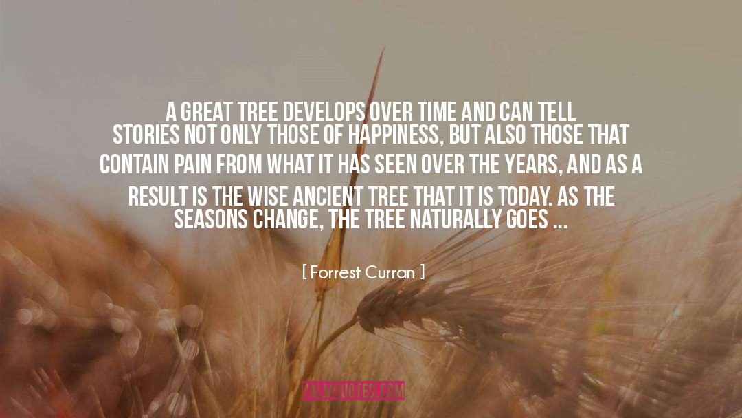 Happiness As A Process quotes by Forrest Curran