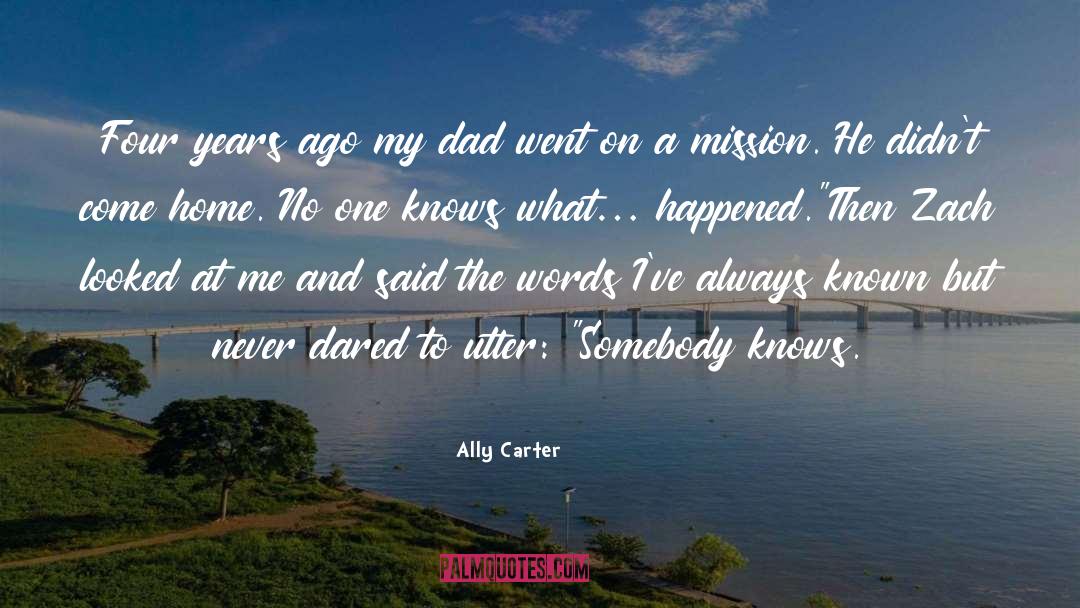 Happiness At Home quotes by Ally Carter