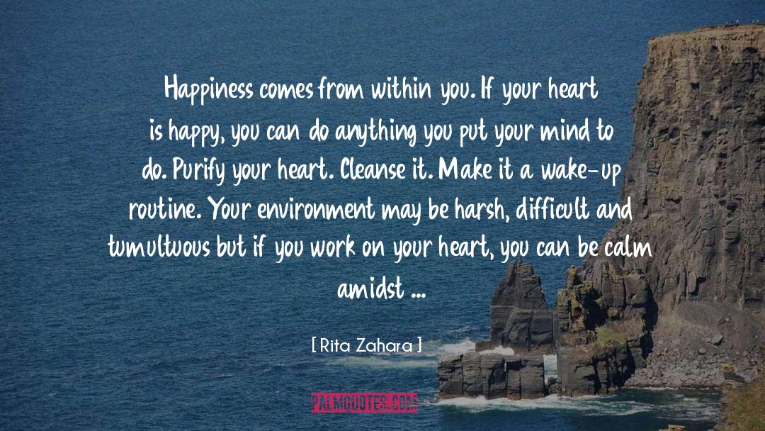 Happiness Comes From Within quotes by Rita Zahara
