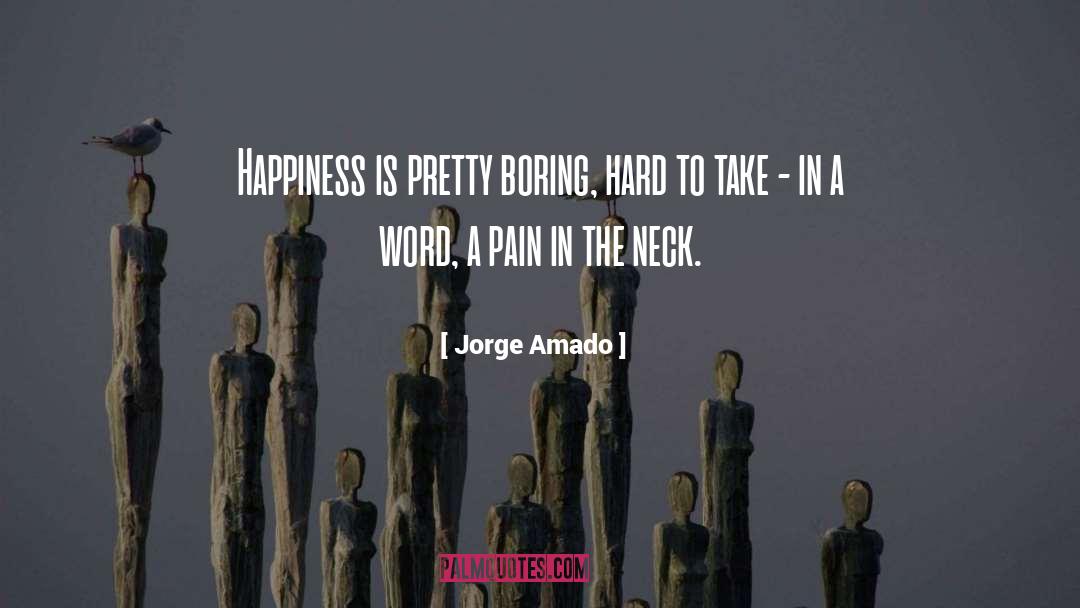 Happiness Is quotes by Jorge Amado