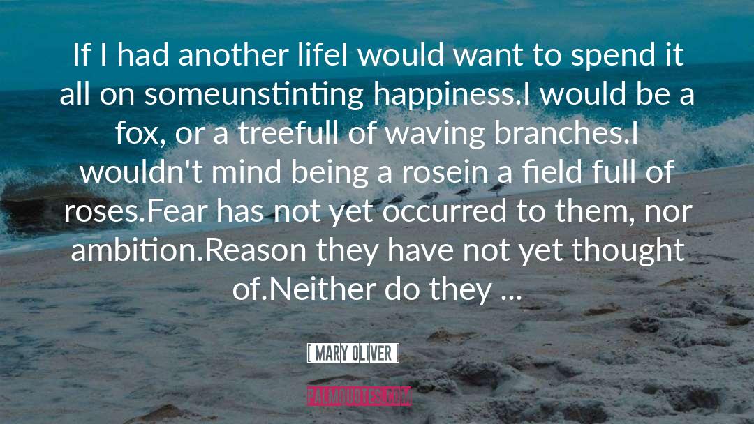 Happiness quotes by Mary Oliver
