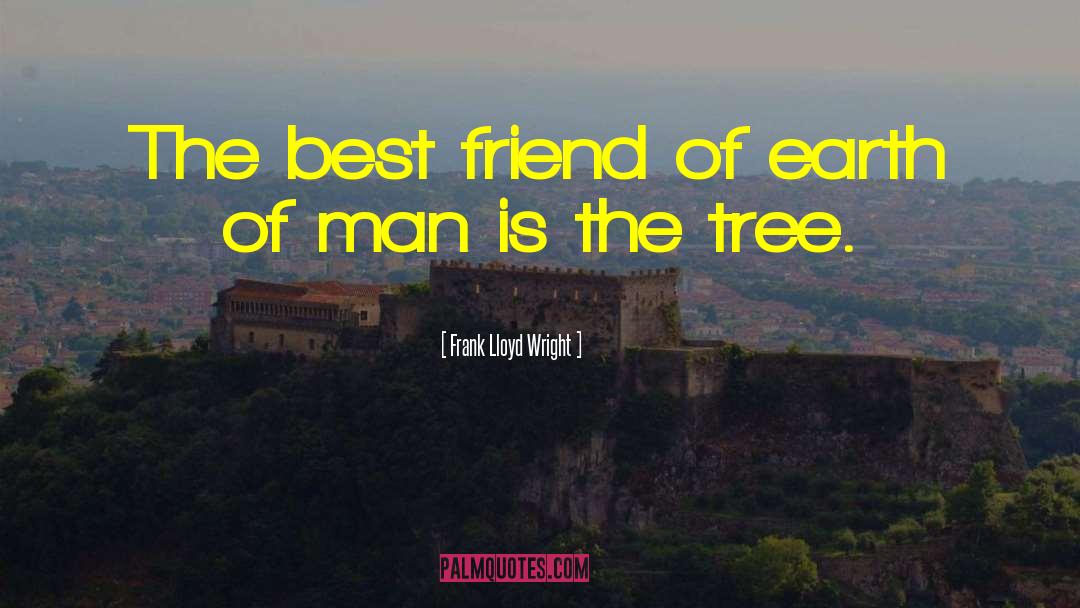 Happy 21st Birthday Best Friend quotes by Frank Lloyd Wright