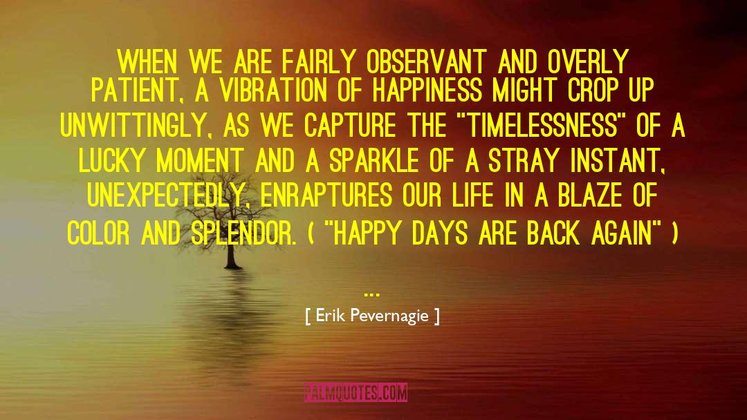 Happy Days quotes by Erik Pevernagie