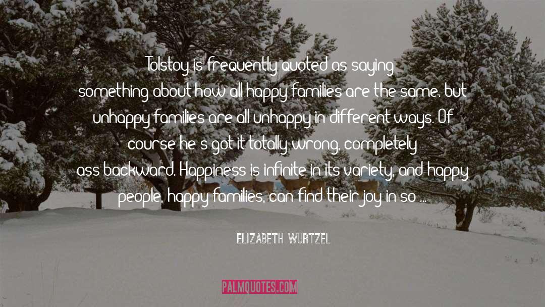 Happy Families quotes by Elizabeth Wurtzel