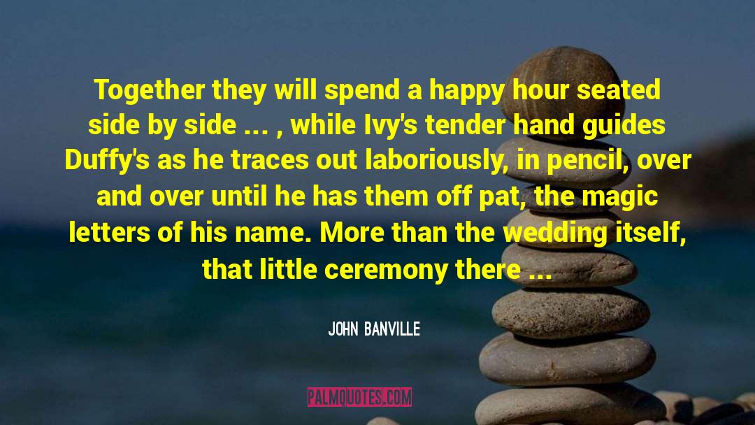 Happy Hour quotes by John Banville