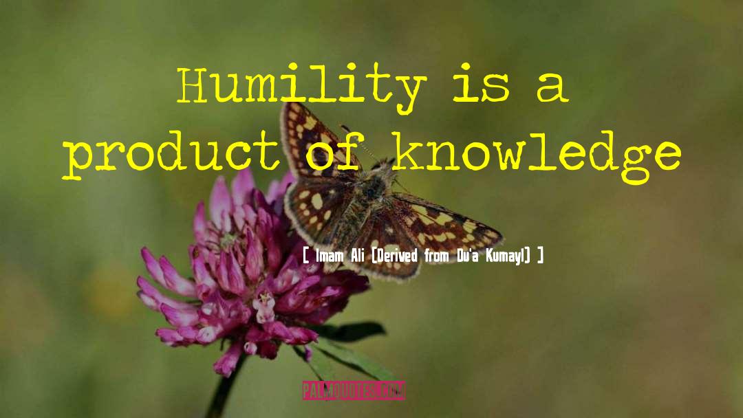 Happy Humility quotes by Imam Ali (Derived From Du'a Kumayl)