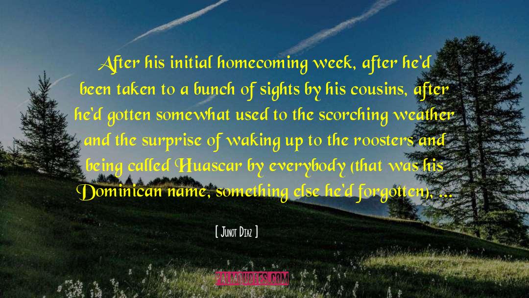 Happy Name Day Sister quotes by Junot Diaz