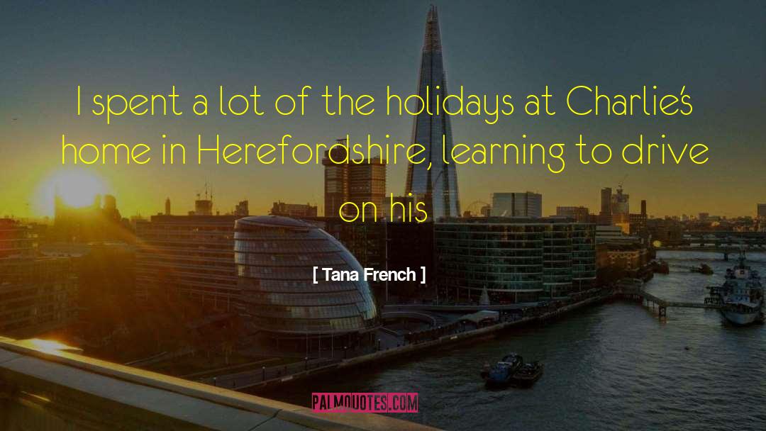 Happyish Holidays quotes by Tana French