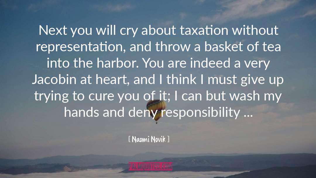 Harbors quotes by Naomi Novik