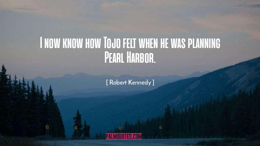 Harbors quotes by Robert Kennedy