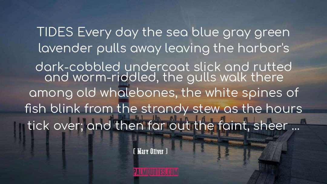 Harbors quotes by Mary Oliver