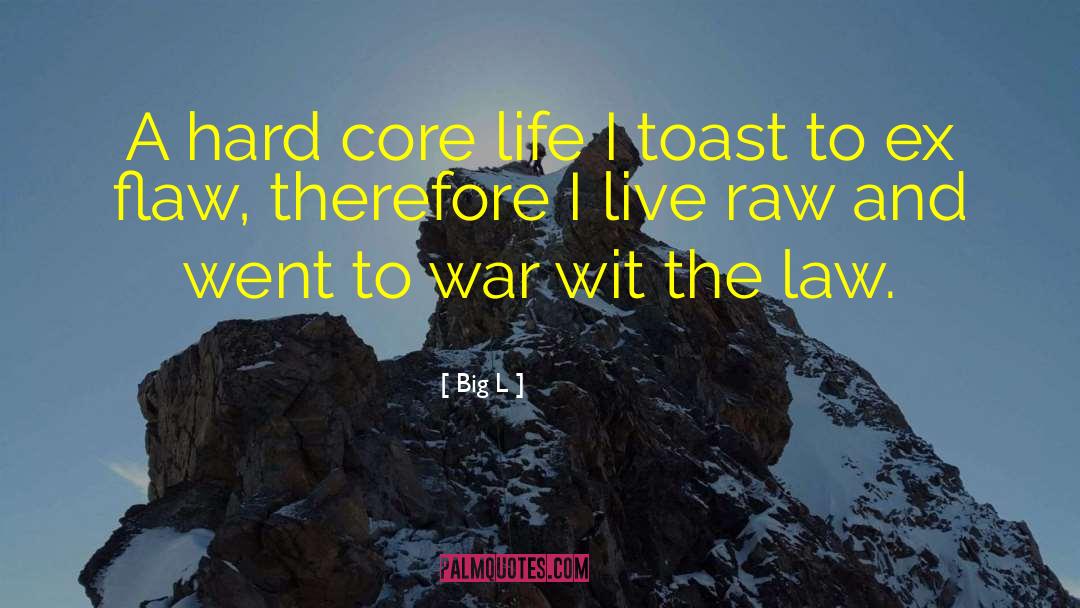 Hard Core quotes by Big L