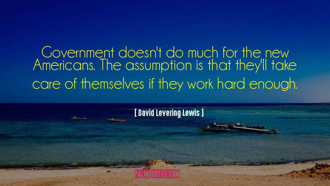 Hard Hitting quotes by David Levering Lewis