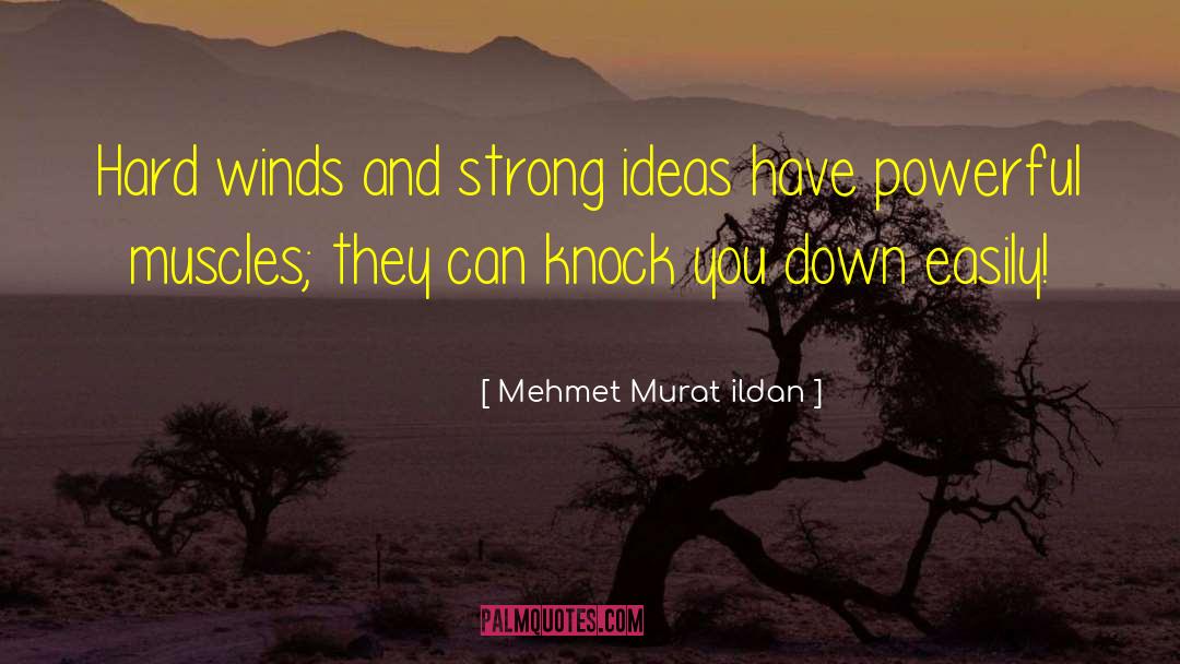 Hard Knock Life quotes by Mehmet Murat Ildan