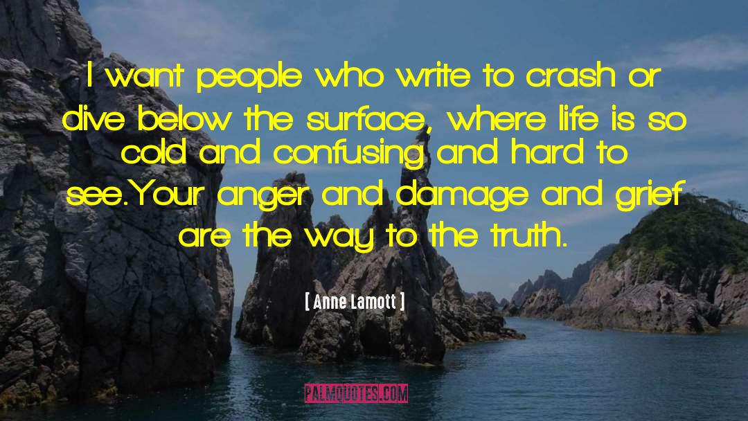 Hard Knocks quotes by Anne Lamott