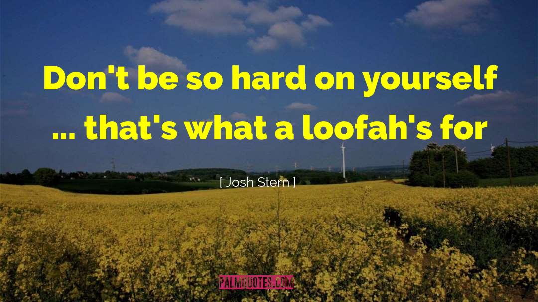 Hard On Yourself quotes by Josh Stern